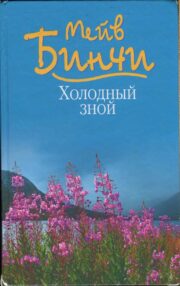 Мейв Бинчи - Холодный зной