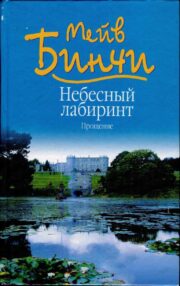 Мейв Бинчи - Небесный лабиринт. Прощение