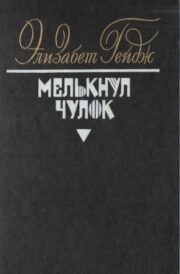 Элизабет Гейдж - Мелькнул чулок