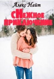 Снежное приключение