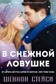 Шеннон Стейси - В снежной ловушке